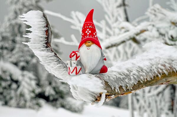 Bild vergrößern: Weihnachtsmannfigur mit Geschenkpaketen auf schneebedecktem Ast.