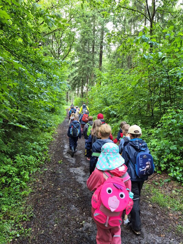 Bild vergr&ouml;&szlig;ern: Waldwoche